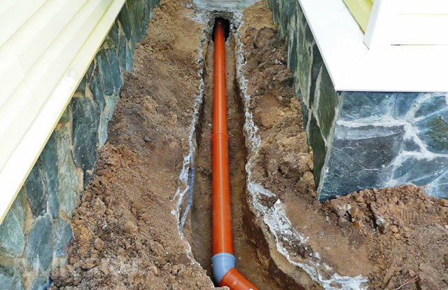 ���� ��������� ������� � �����������