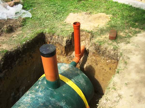 ���� ��������� ������� � �����������