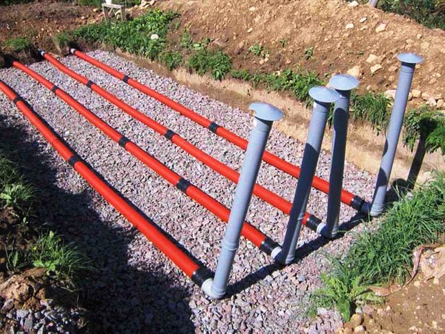 ���� ��������� �����������