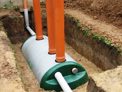 ���� ��������� �����������