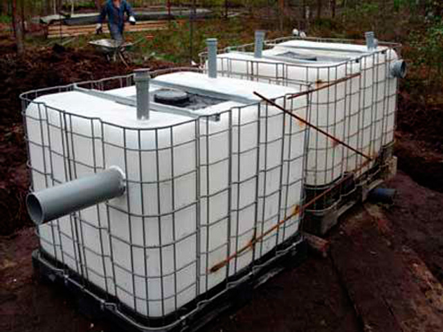 ���� ��������� �����������