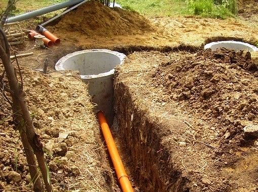 ���� ��������� �����������