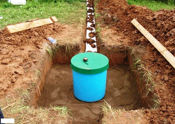 ���� ��������� �����������