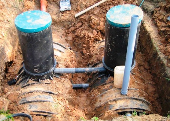 ���� ��������� �����������